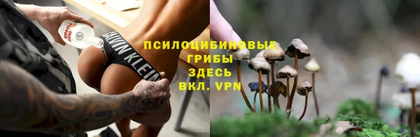 меф Няндома