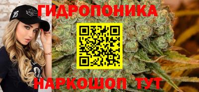 ALPHA PVP Канаш