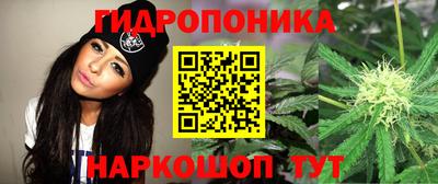 ALPHA PVP Канаш