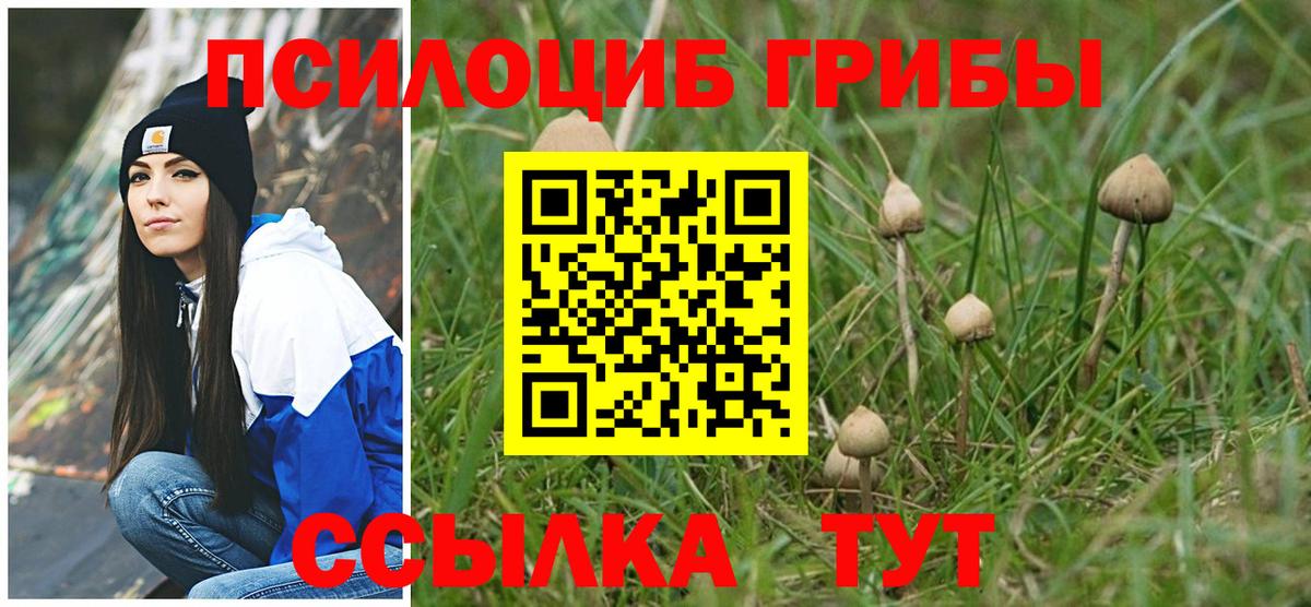 Полевской  Псилоцибиновые грибы ЛСД  Вход с VPN 